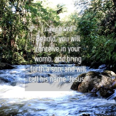 Picture 04 - Luke 1:31 WEB - Behold, you will conceive in your womb, and bring - Bible Verse Picture