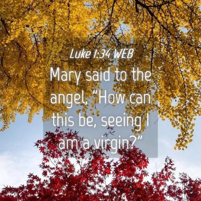 Picture 04 - Luke 1:34 WEB - Mary said to the angel, 