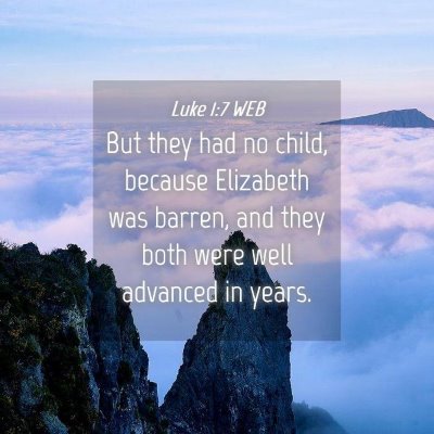 Picture 04 - Luke 1:7 WEB - But they had no child, because Elizabeth was - Bible Verse Picture