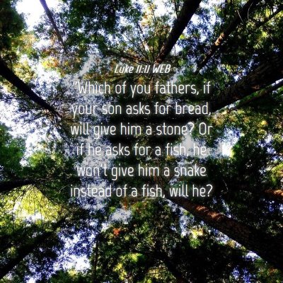Picture 04 - Luke 11:11 WEB - 