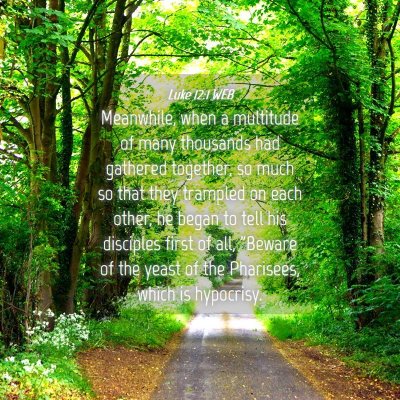 Picture 04 - Luke 12:1 WEB - Meanwhile, when a multitude of many thousands had - Bible Verse Picture