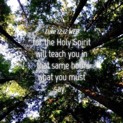 Picture 04 - Luke 12:12 WEB - for the Holy Spirit will teach you in that same - Bible Verse Picture