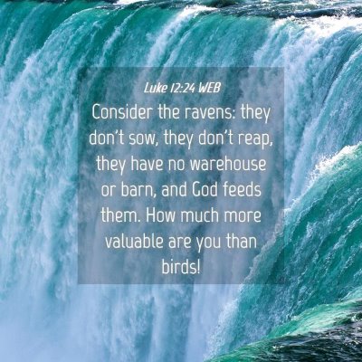 Picture 04 - Luke 12:24 WEB - Consider the ravens: they don't sow, they don't - Bible Verse Picture