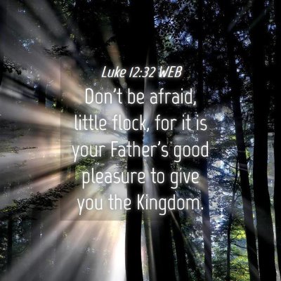 Picture 04 - Luke 12:32 WEB - Don't be afraid, little flock, for it is your - Bible Verse Picture