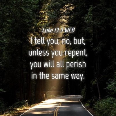 Picture 04 - Luke 13:3 WEB - I tell you, no, but, unless you repent, you will - Bible Verse Picture