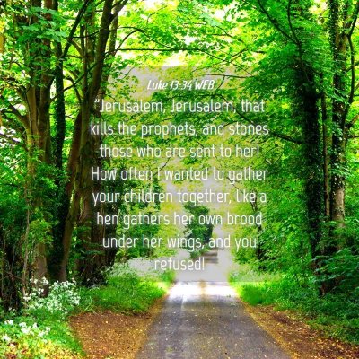 Picture 04 - Luke 13:34 WEB - 