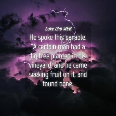 Picture 04 - Luke 13:6 WEB - He spoke this parable. 