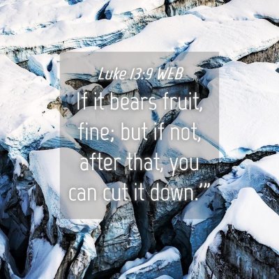 Picture 04 - Luke 13:9 WEB - If it bears fruit, fine; but if not, after that, - Bible Verse Picture