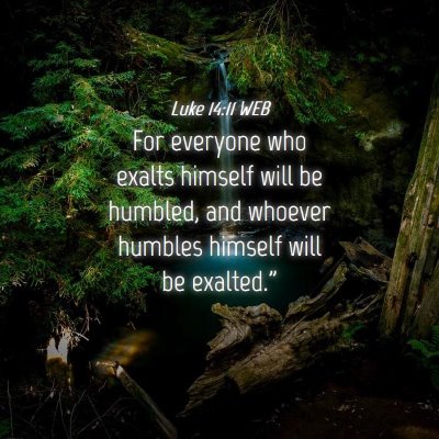 Picture 04 - Luke 14:11 WEB - For everyone who exalts himself will be humbled, - Bible Verse Picture
