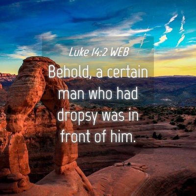 Picture 04 - Luke 14:2 WEB - Behold, a certain man who had dropsy was in front - Bible Verse Picture