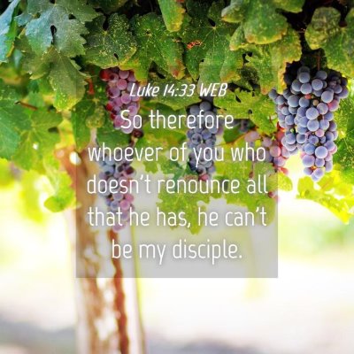 Picture 04 - Luke 14:33 WEB - So therefore whoever of you who doesn't renounce - Bible Verse Picture