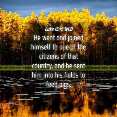 Picture 04 - Luke 15:15 WEB - He went and joined himself to one of the citizens - Bible Verse Picture