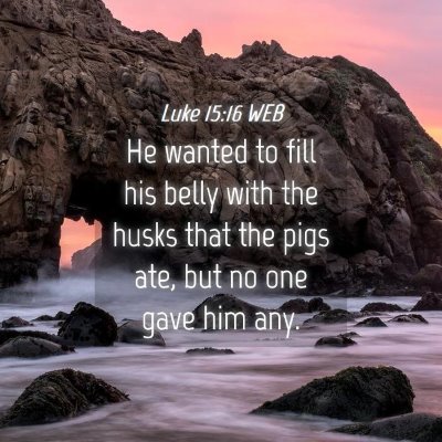 Picture 04 - Luke 15:16 WEB - He wanted to fill his belly with the husks that - Bible Verse Picture