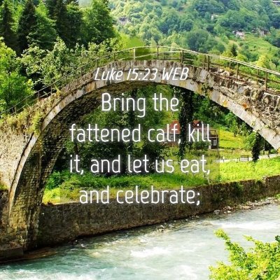 Picture 04 - Luke 15:23 WEB - Bring the fattened calf, kill it, and let us eat, - Bible Verse Picture