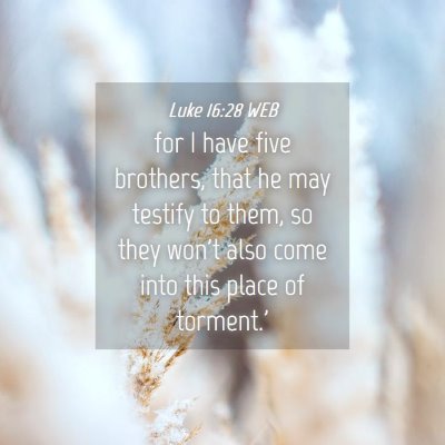 Picture 04 - Luke 16:28 WEB - for I have five brothers, that he may testify to - Bible Verse Picture
