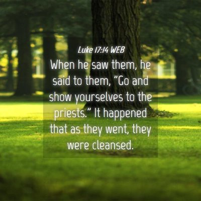 Picture 04 - Luke 17:14 WEB - When he saw them, he said to them, 