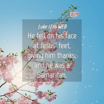 Picture 04 - Luke 17:16 WEB - He fell on his face at Jesus' feet, giving him - Bible Verse Picture