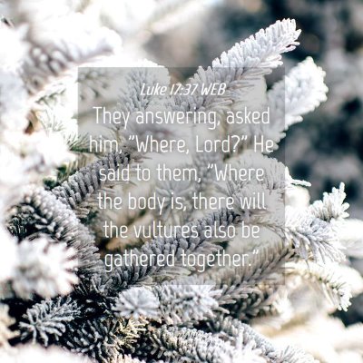 Picture 04 - Luke 17:37 WEB - They answering, asked him, 