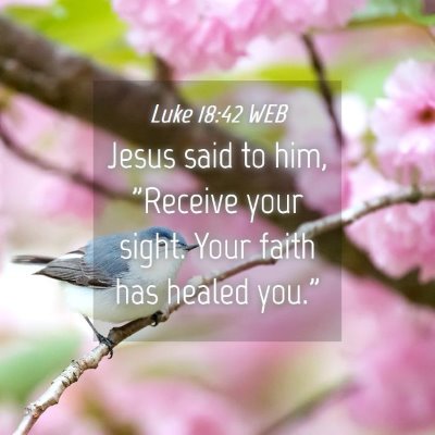 Picture 04 - Luke 18:42 WEB - Jesus said to him, 