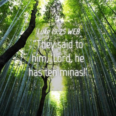 Picture 04 - Luke 19:25 WEB - 