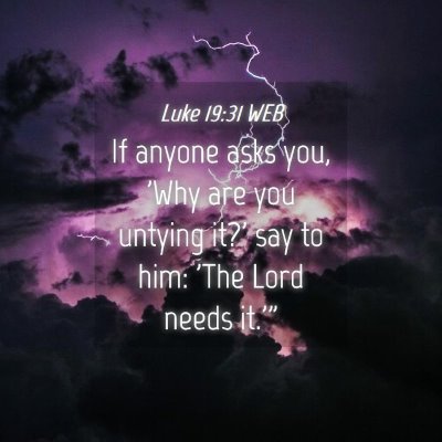 Picture 04 - Luke 19:31 WEB - If anyone asks you, 'Why are you untying it?' say - Bible Verse Picture