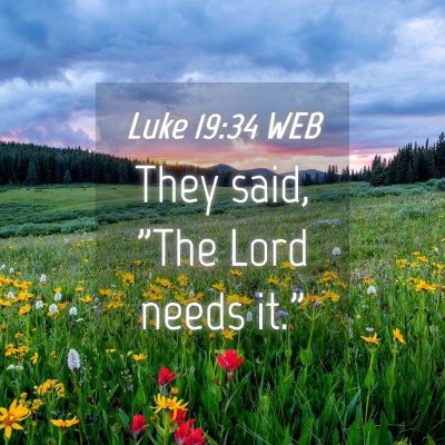 Picture 04 - Luke 19:34 WEB - They said, 