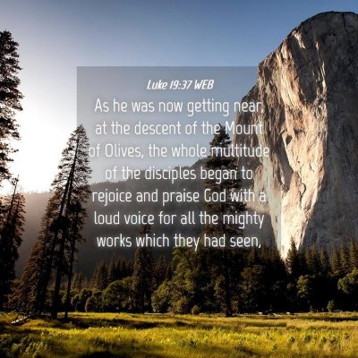 Picture 04 - Luke 19:37 WEB - As he was now getting near, at the descent of the - Bible Verse Picture