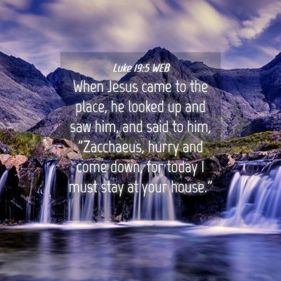 Picture 04 - Luke 19:5 WEB - When Jesus came to the place, he looked up and - Bible Verse Picture