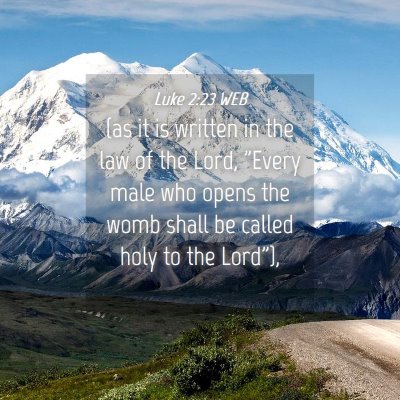 Picture 04 - Luke 2:23 WEB - (as it is written in the law of the Lord, 