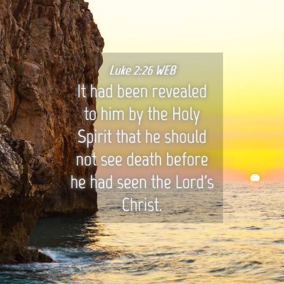 Picture 04 - Luke 2:26 WEB - It had been revealed to him by the Holy Spirit - Bible Verse Picture
