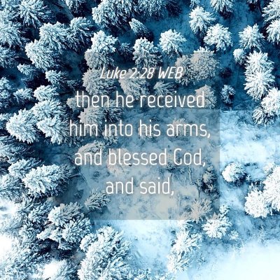 Picture 04 - Luke 2:28 WEB - then he received him into his arms, and blessed - Bible Verse Picture