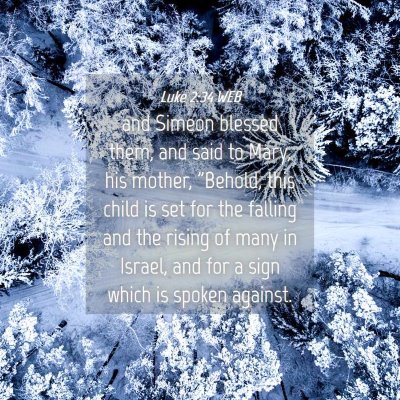 Picture 04 - Luke 2:34 WEB - and Simeon blessed them, and said to Mary, his - Bible Verse Picture