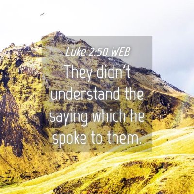 Picture 04 - Luke 2:50 WEB - They didn't understand the saying which he spoke - Bible Verse Picture