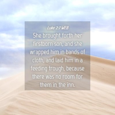 Picture 04 - Luke 2:7 WEB - She brought forth her firstborn son, and she - Bible Verse Picture