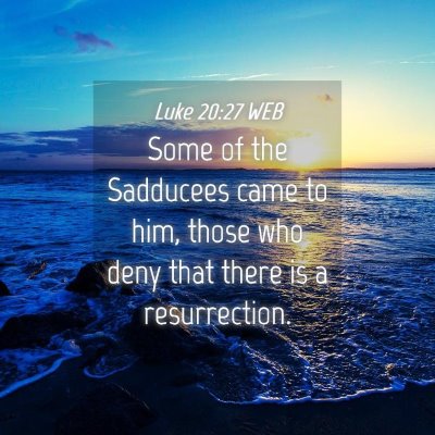 Picture 04 - Luke 20:27 WEB - Some of the Sadducees came to him, those who deny - Bible Verse Picture