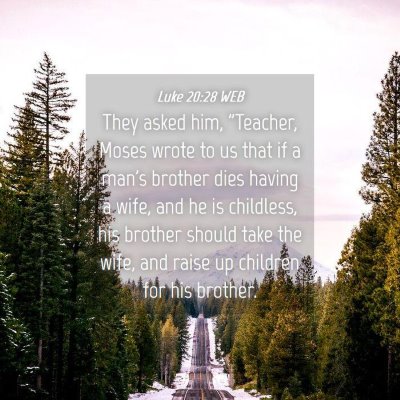 Picture 04 - Luke 20:28 WEB - They asked him, 