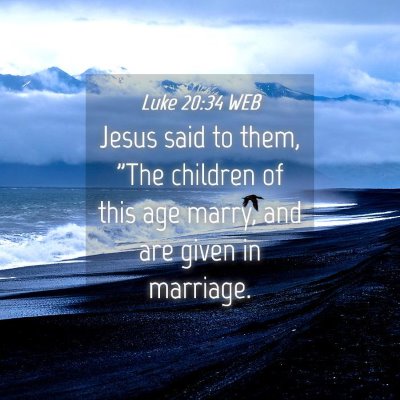 Picture 04 - Luke 20:34 WEB - Jesus said to them, 