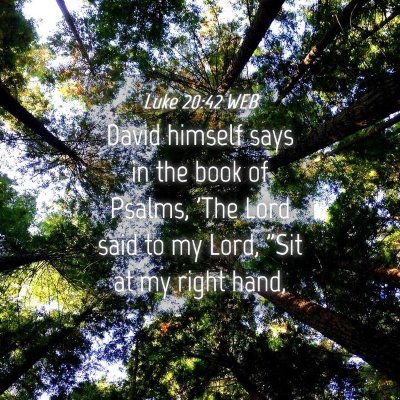 Picture 04 - Luke 20:42 WEB - David himself says in the book of Psalms, 'The - Bible Verse Picture