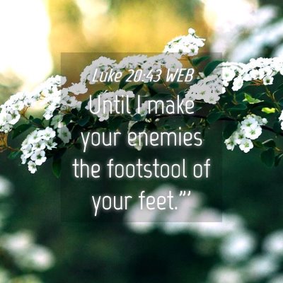 Picture 04 - Luke 20:43 WEB - Until I make your enemies the footstool of your - Bible Verse Picture