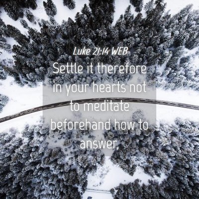 Picture 04 - Luke 21:14 WEB - Settle it therefore in your hearts not to - Bible Verse Picture