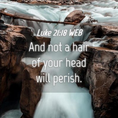 Picture 04 - Luke 21:18 WEB - And not a hair of your head will - Bible Verse Picture