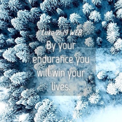 Picture 04 - Luke 21:19 WEB - By your endurance you will win your - Bible Verse Picture