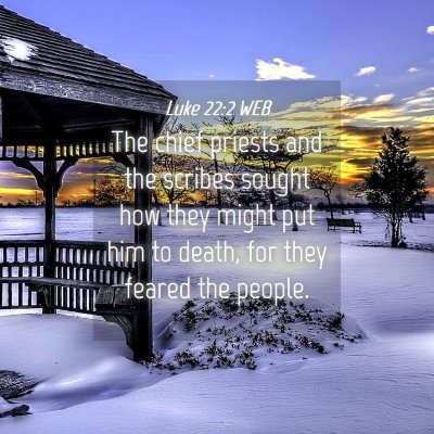 Picture 04 - Luke 22:2 WEB - The chief priests and the scribes sought how they - Bible Verse Picture