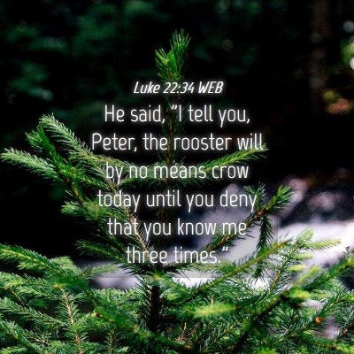 Picture 04 - Luke 22:34 WEB - He said, 