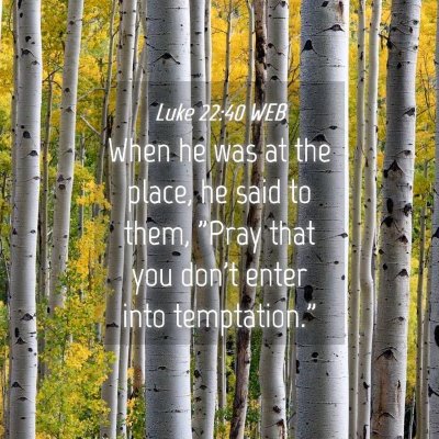 Picture 04 - Luke 22:40 WEB - When he was at the place, he said to them, 