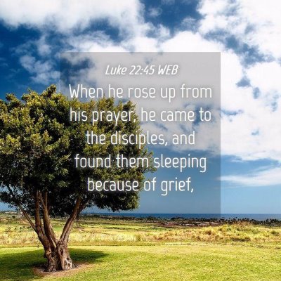 Picture 04 - Luke 22:45 WEB - When he rose up from his prayer, he came to the - Bible Verse Picture