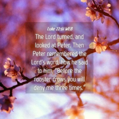Picture 04 - Luke 22:61 WEB - The Lord turned, and looked at Peter. Then Peter - Bible Verse Picture