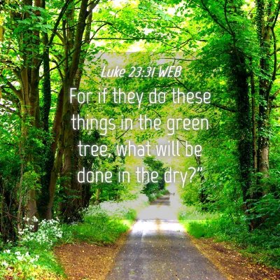 Picture 04 - Luke 23:31 WEB - For if they do these things in the green tree, - Bible Verse Picture