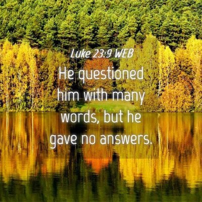 Picture 04 - Luke 23:9 WEB - He questioned him with many words, but he gave no - Bible Verse Picture