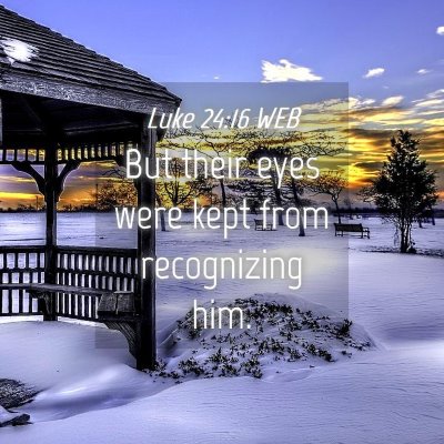 Picture 04 - Luke 24:16 WEB - But their eyes were kept from recognizing - Bible Verse Picture